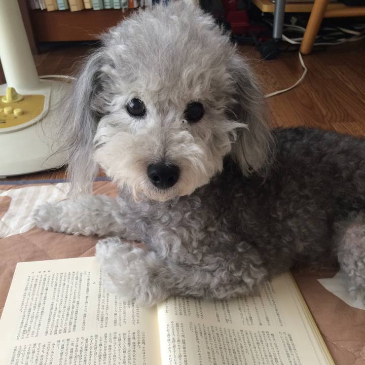 F062dd62 202e 4d0e 939b bba56679a05b