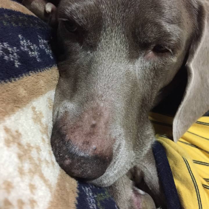 F0636826 d104 477e afe6 6cc7164f41c3