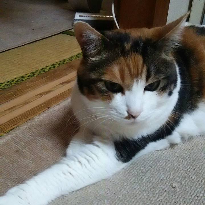 F0637f75 543e 46ab a2d2 2044782aac10