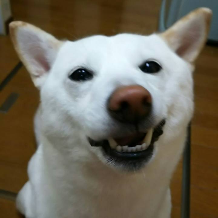 F064f0bc f619 4bfc aff8 c6bf82a0ff04