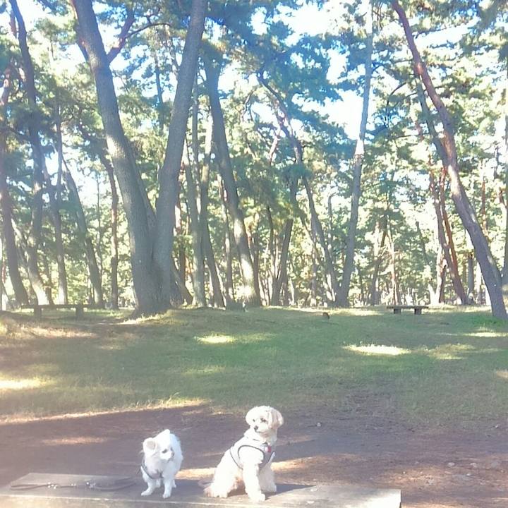 F065ce2c 16b2 4447 b6ad f14f54aa0ca6