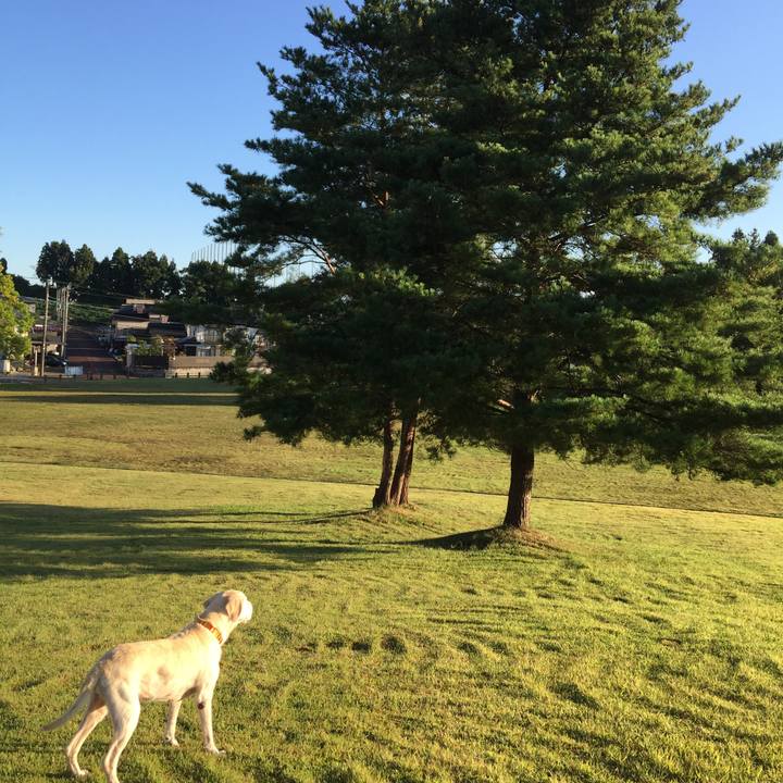 F065de82 e7e1 4b64 83c6 22f3a4d8ff41