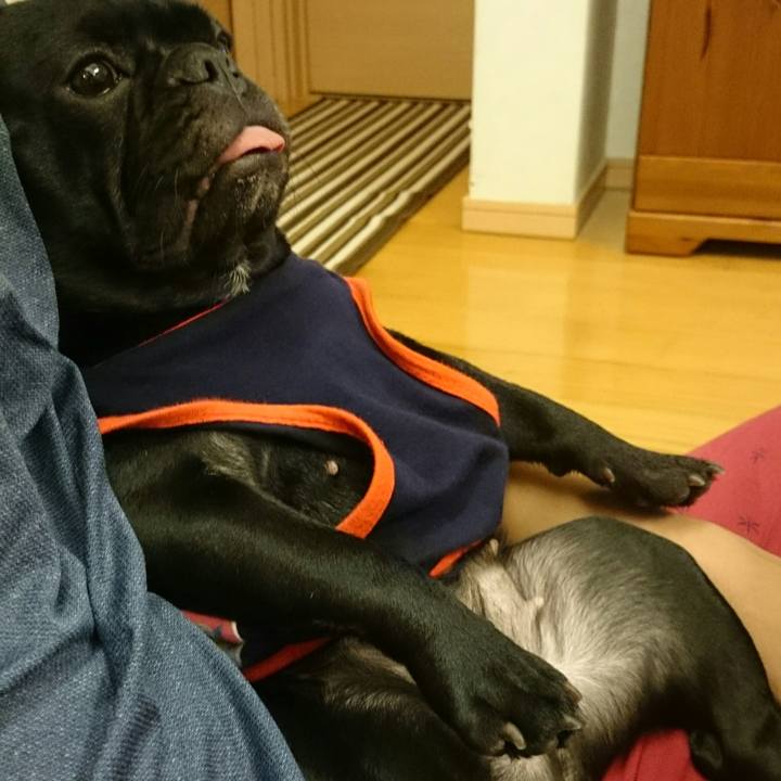 F0666168 07b4 4493 bffb c51bf2608a36