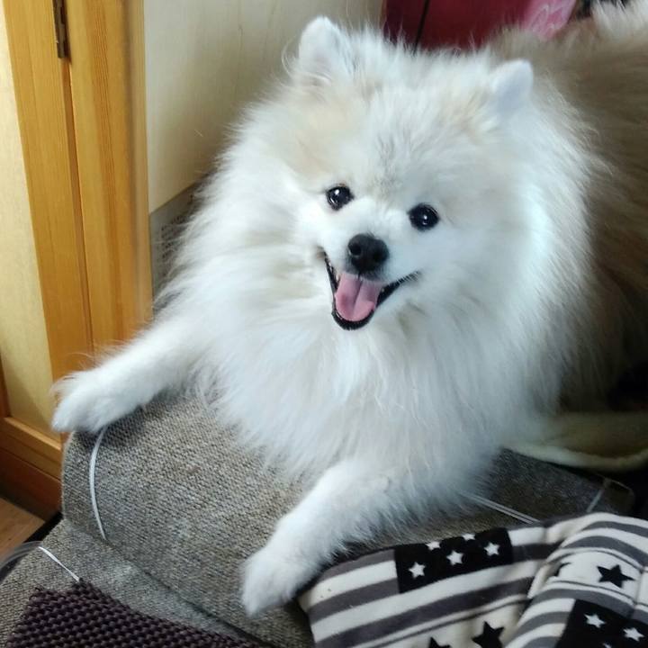 F0667efb 6763 4461 bf46 fb6105539f02