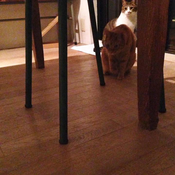 F066bc78 7a39 4dd0 8ff8 db78cd9c4219