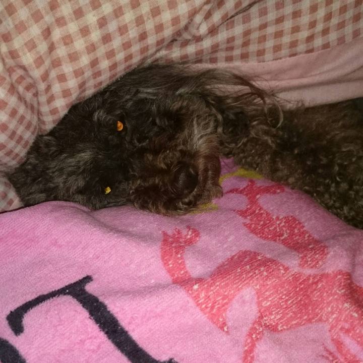 F0675c85 ea79 4c02 b439 36d8334f7e0e