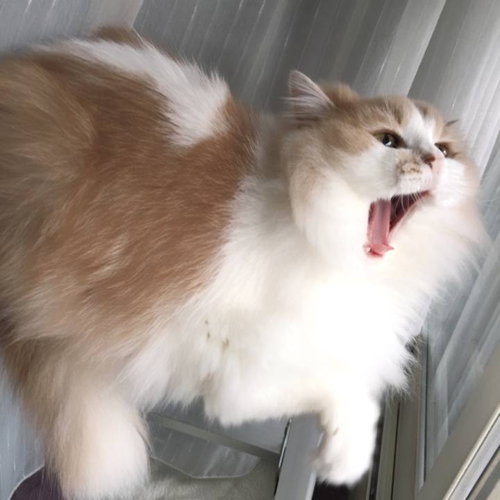 F0681dff ca5c 4793 ae1f 8b944271fe18