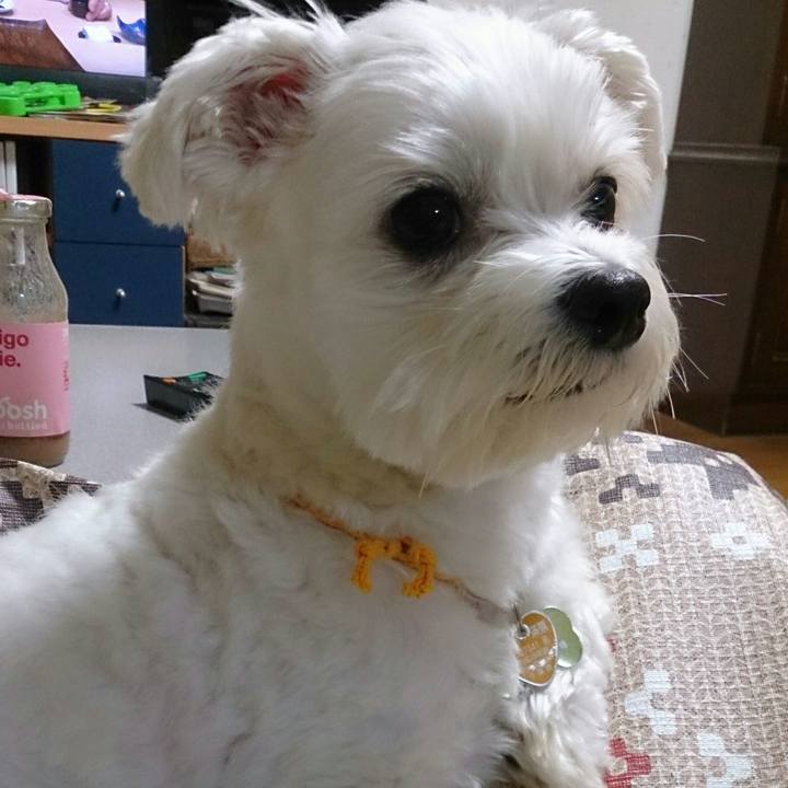 F068f203 fdef 4c03 942d 8674c64af284