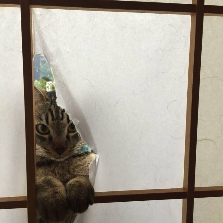 F06938b6 3940 441a b88a 0f61afa3203e