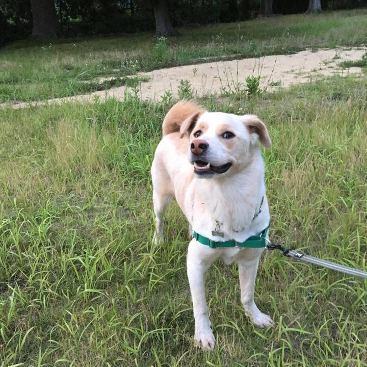 F069c2fe 4270 4ffa b793 a5006576b94c