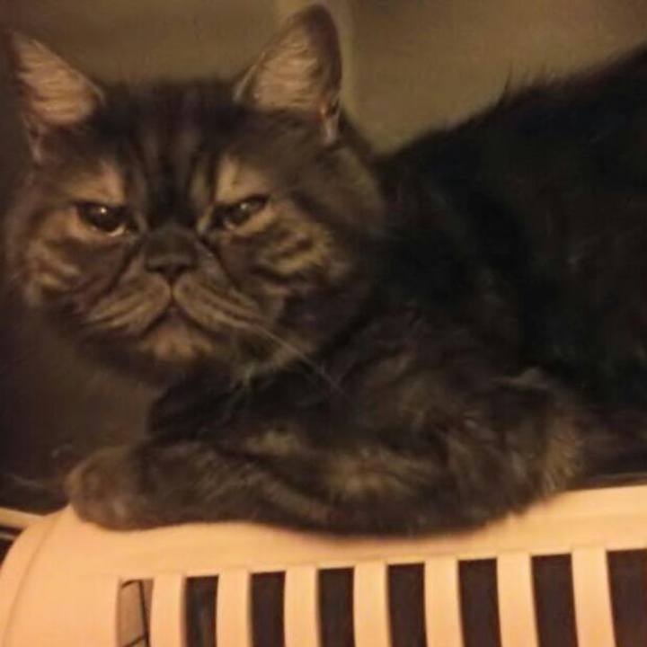 F06b1ced 3422 4372 8035 00af79092367