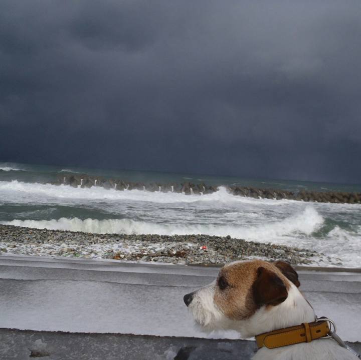 F06b7738 0fab 4928 837d 2378d126e14e