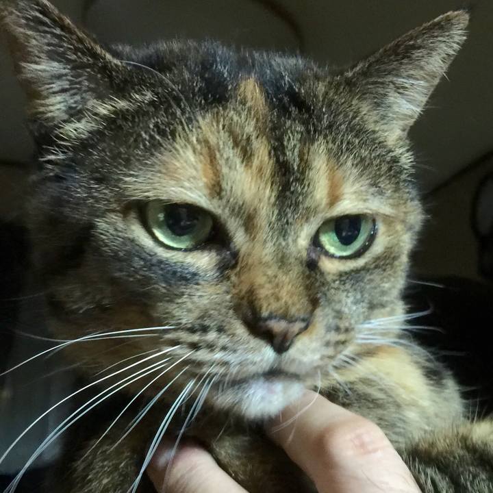 F06bbd19 0b58 4b88 99c6 489d570317a4