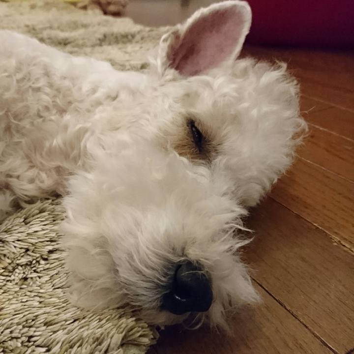 F06c96fb b057 4bc5 beff aaf155e40ca6