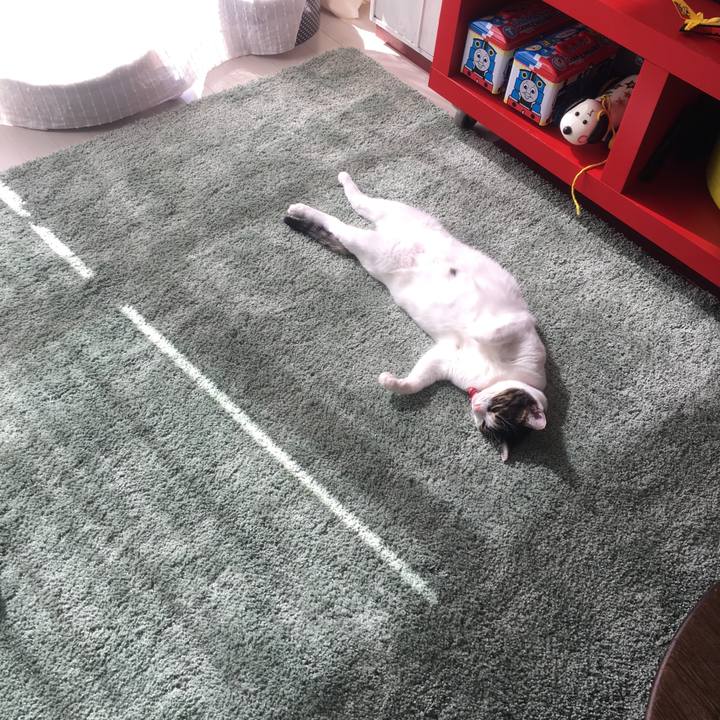 F06ce50d 38ec 4261 a4f2 ceabd4f50f26