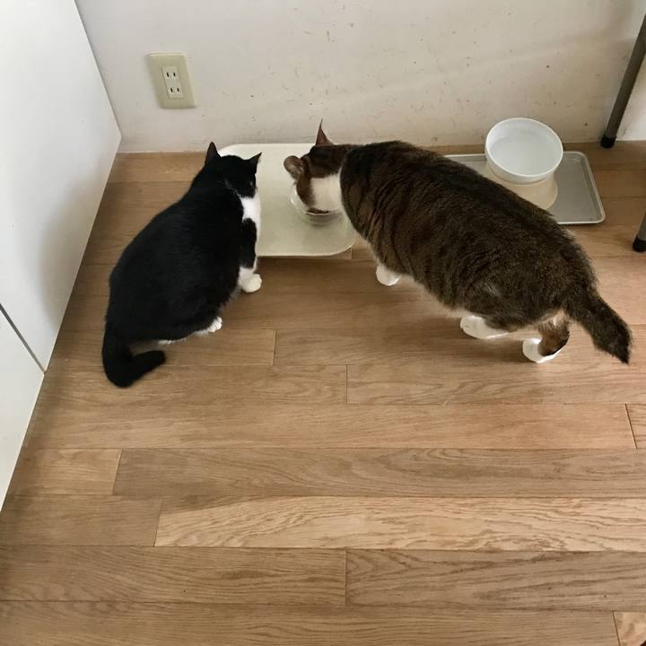 F06cef2f aea2 4dde a3b9 f4ba8db38196