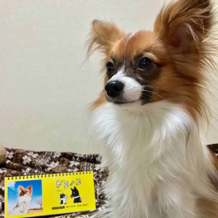 F06cf138 6af3 4d5d 8ec3 c7cf81a80fe4