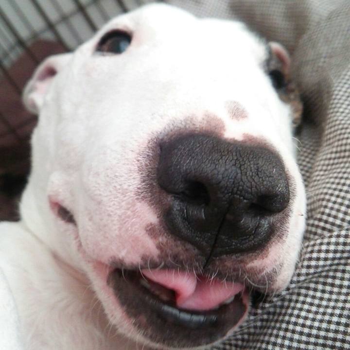 F06d148f 7a96 46c0 9f0b 0357656456bd