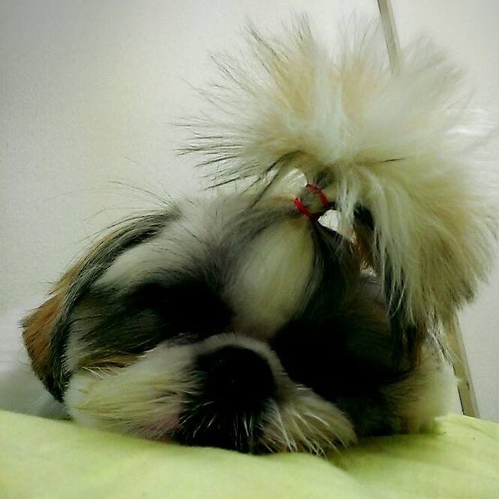 F06d6866 d3d3 47a2 87de cf5d73d99951