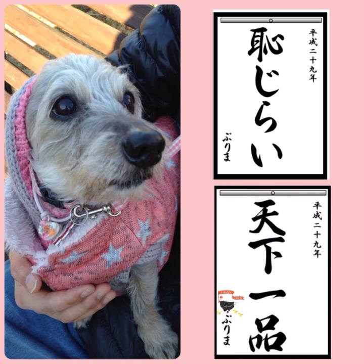 F06d7f84 8196 4d97 8962 74f6b93efb1e