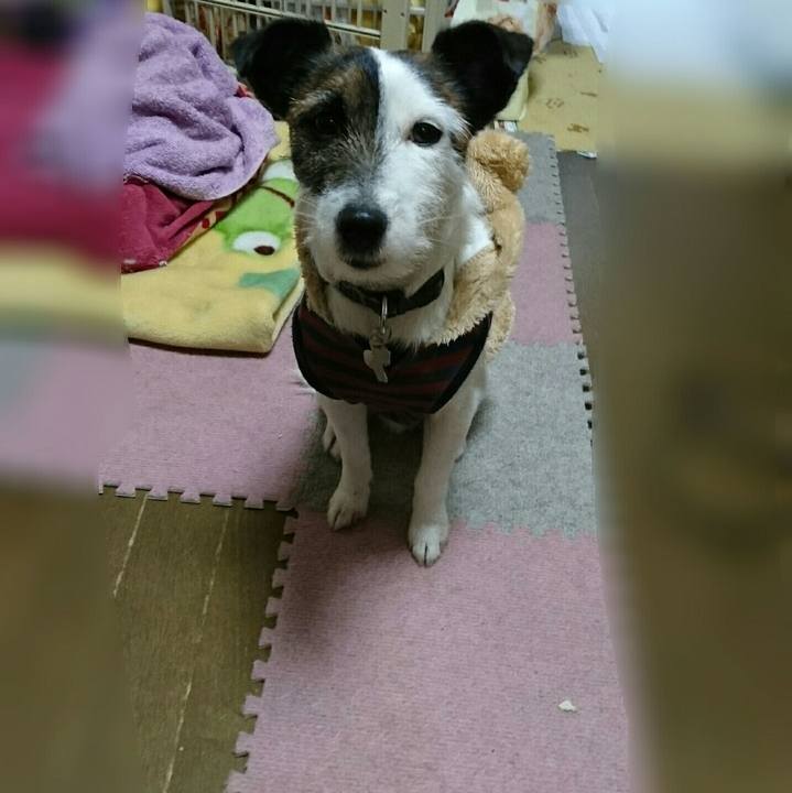 F06db6bc 2fcb 4227 a2c0 dbb0fe1d91b4