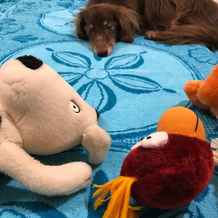 F06e0360 4a8b 402c bc0c bde5ce259cd1