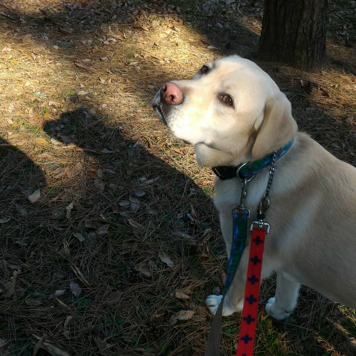 F06e1d2a 864e 44d4 a41b bc0548d68f11