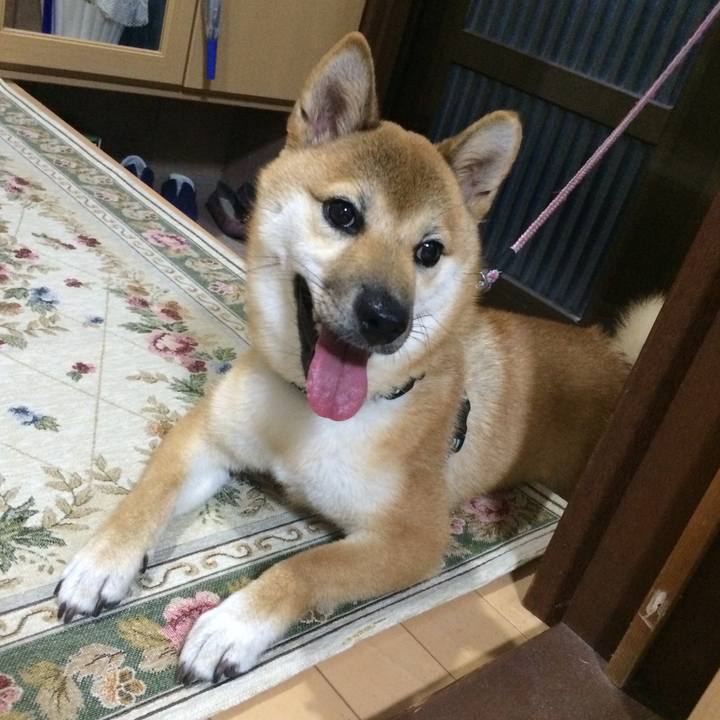 F06e3691 d519 48ee 91dd 745682d79deb