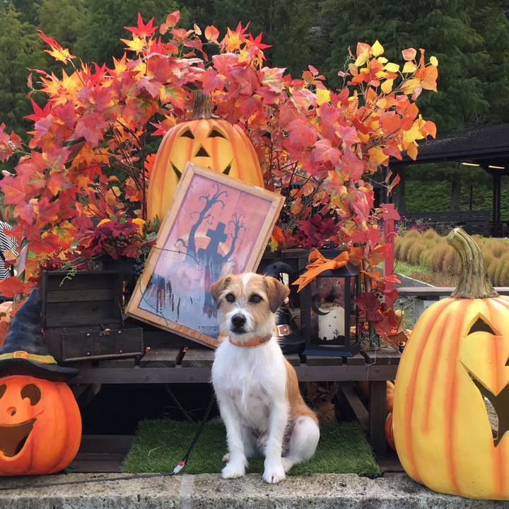 F06e4d8c f52d 4e57 aa9b 729318ddd58c