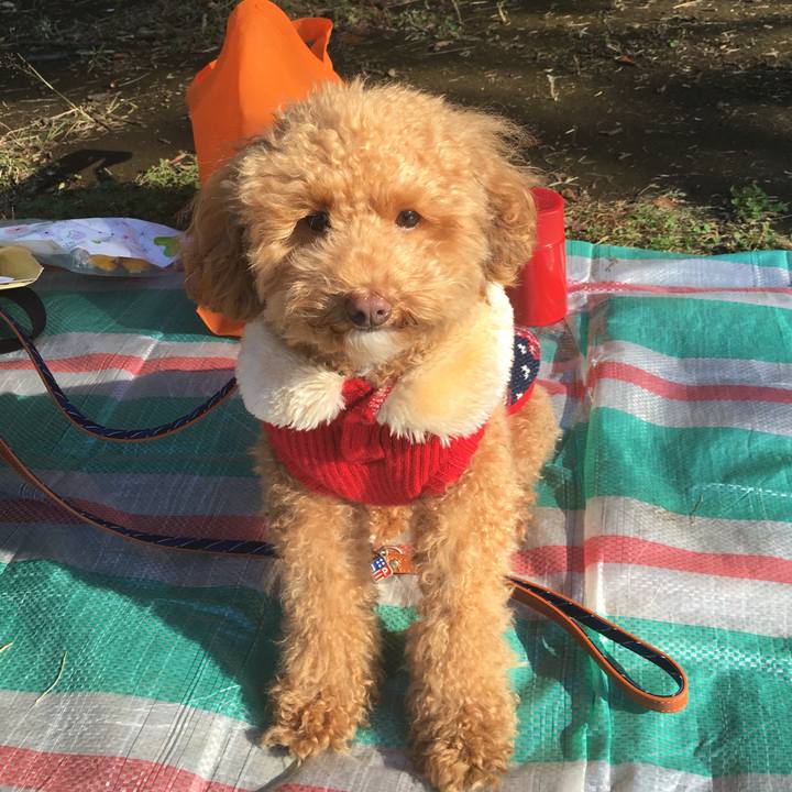 F06f123a ffc4 4358 9ad8 2a69222de2b4