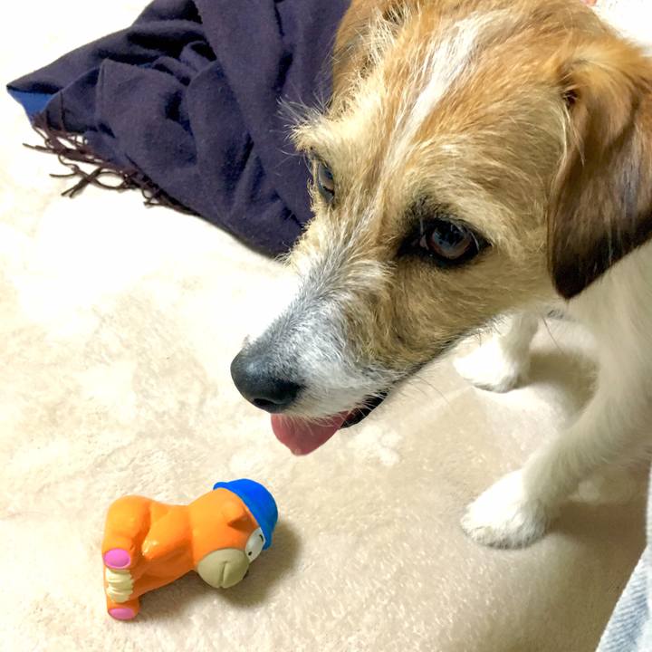 F06f58a5 0ba1 4368 bafe 2bcc04928da2