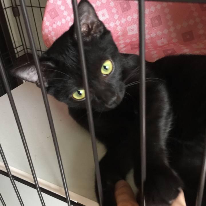 F0716f8a 5c55 4526 a121 d4c6aa0811c2