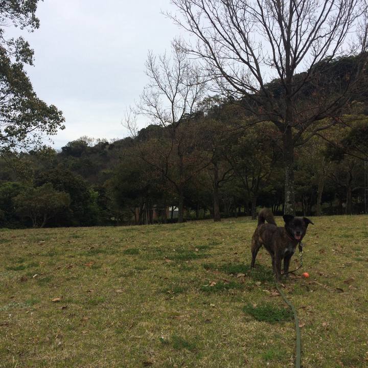 F072638b 5af9 44d8 a9d9 35b6e772aac1