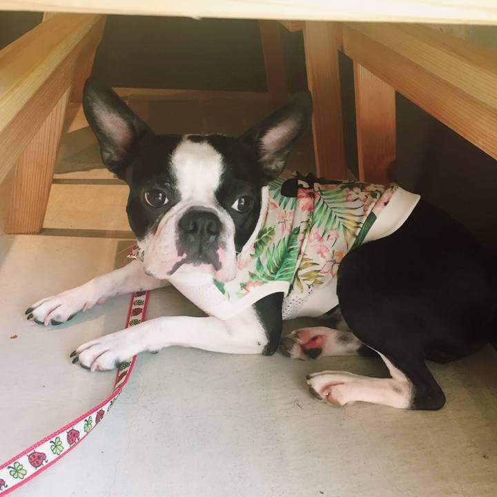 F072d90c 8e7f 4dbe acc0 64ce6c70bffc