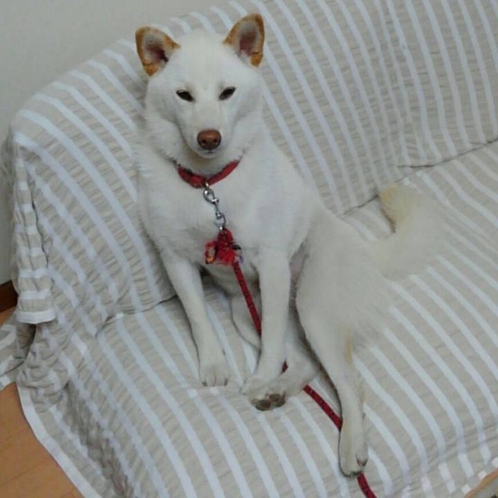 F07388e4 01c5 40f5 bab4 61723d8ae49c