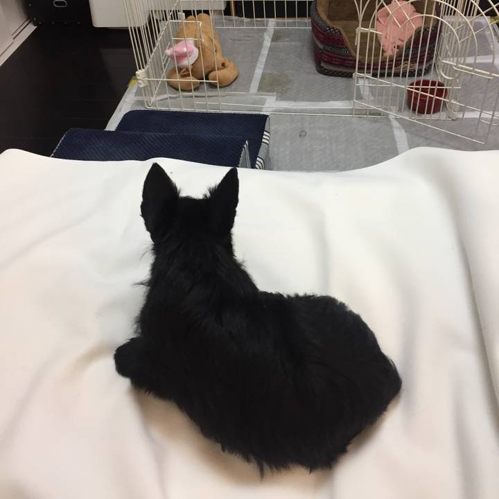 F074714f 9f0c 4c5f 9d6f 9798f37dadce