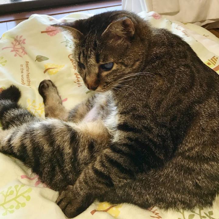 F07491a0 ec1b 4935 a839 686d25f51461