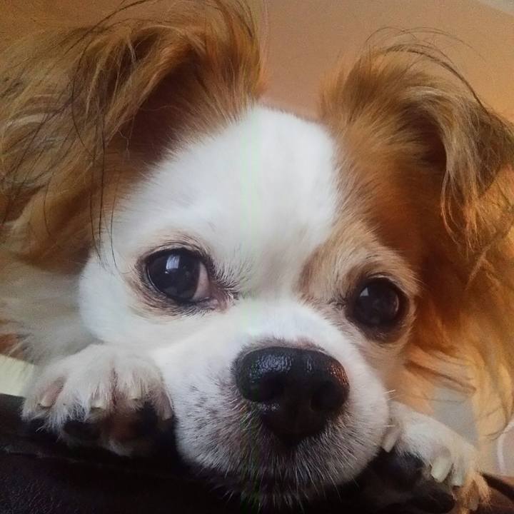 F0749a30 5c6d 49fd 97a1 65c56bd07793