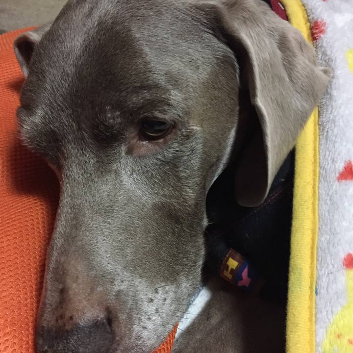 F074ba69 82e5 4b67 b8e9 7095b7525143