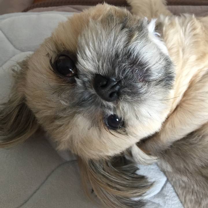 F074cfb8 9bee 4d13 ba95 39f29fdccf31