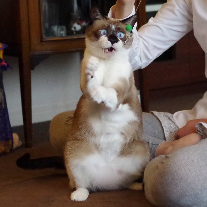 F07505d4 72f7 47e9 ad12 0fa6d3e50f69