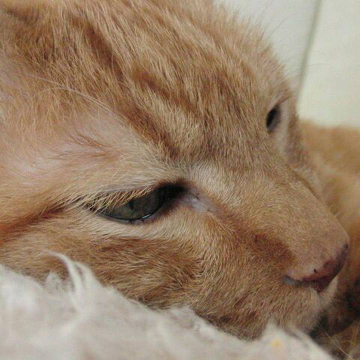 F0757b9c f5be 4eed 8d4c 53b93ac22e49