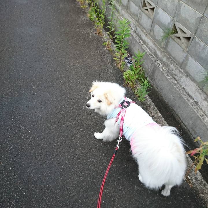 F0758143 e6a1 46e7 8a55 a450e2f25b68