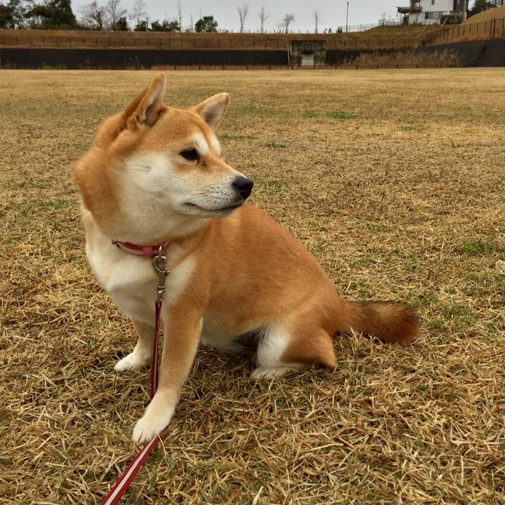 F07600dc d9e2 4e25 8019 241f54951083