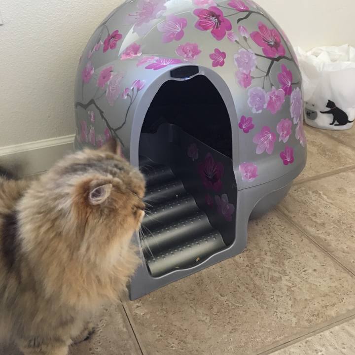 F0766bf6 96d6 44dc 84f3 e3f1df469c70