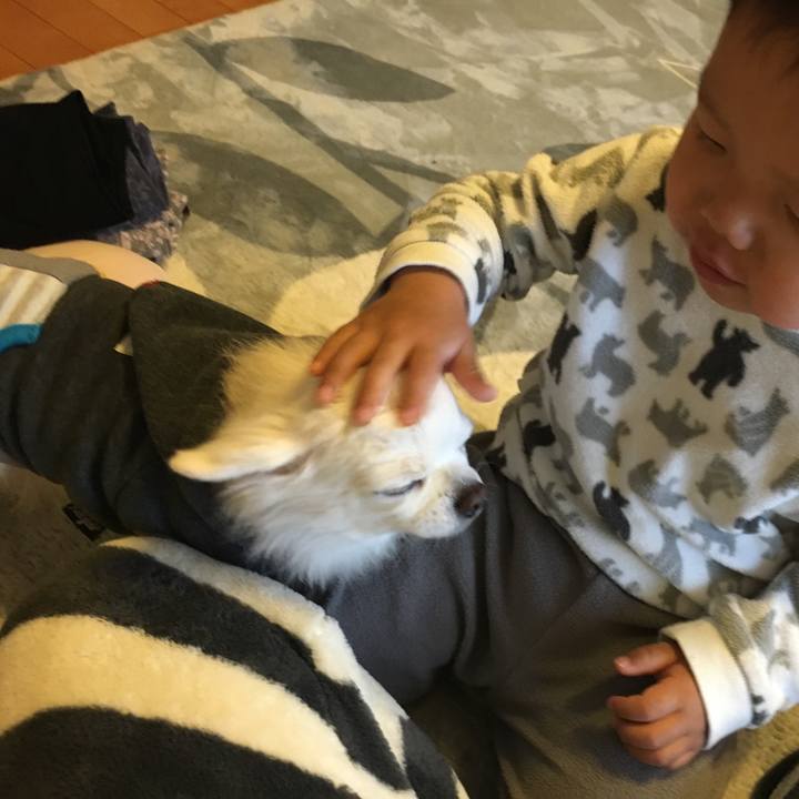 F076c750 dfde 4c96 893e 8d0b0c7b45ed