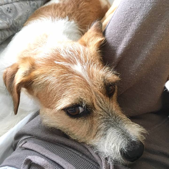 F077434f 80c6 4438 a97a ae28e582c034