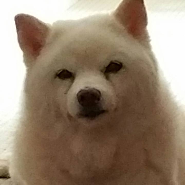 F077a54b ff89 410c addf 8d1b0200d05e