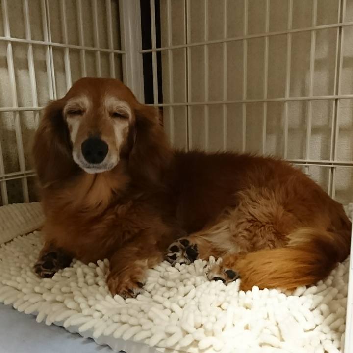 F077d081 e52d 4f8d bd63 3d5f3b90b1a0