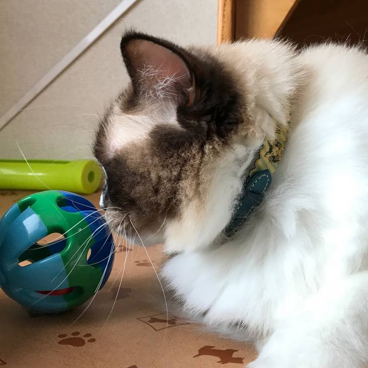 F077dcc8 d576 4f59 9f3f a2a3be89a965